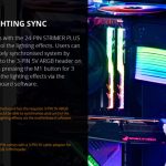 strimer_plus_24-06
