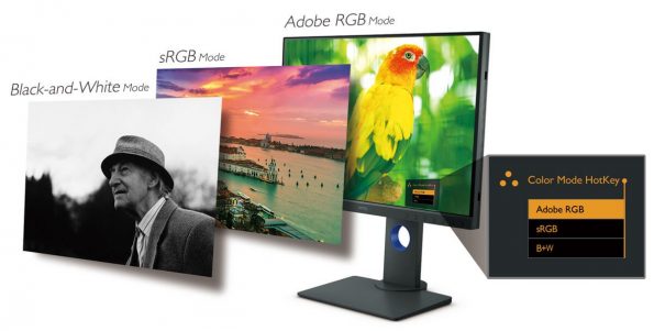 SW240-photo-editing-monitor-aqcolor-10