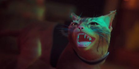 بازی Stray