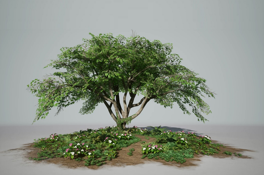 ایجاد گیاه سه بعدی