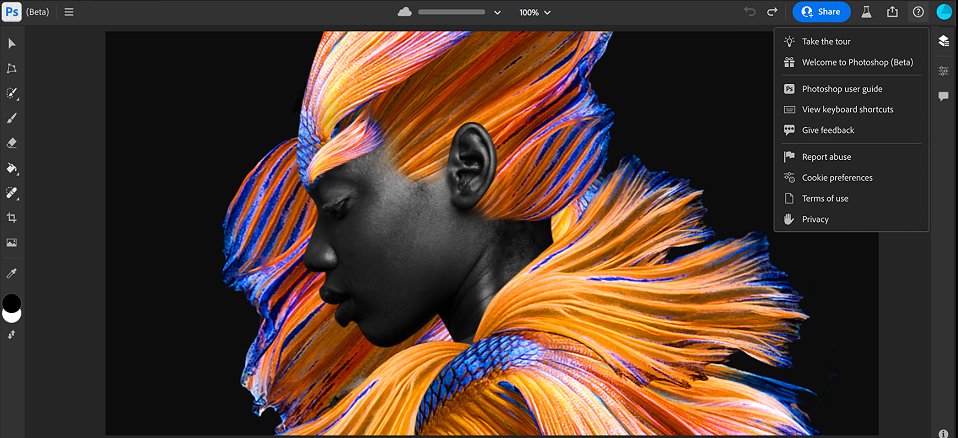 Photoshop 25.0