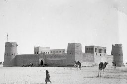 باززنده سازی ساختمان