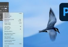 Photoshop 25.2