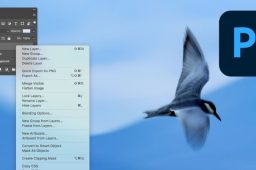 Photoshop 25.2