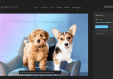 ویژگی‌های جدید Windows Photos؛ ویرایش عکس‌ها هوشمندتر از همیشه!
