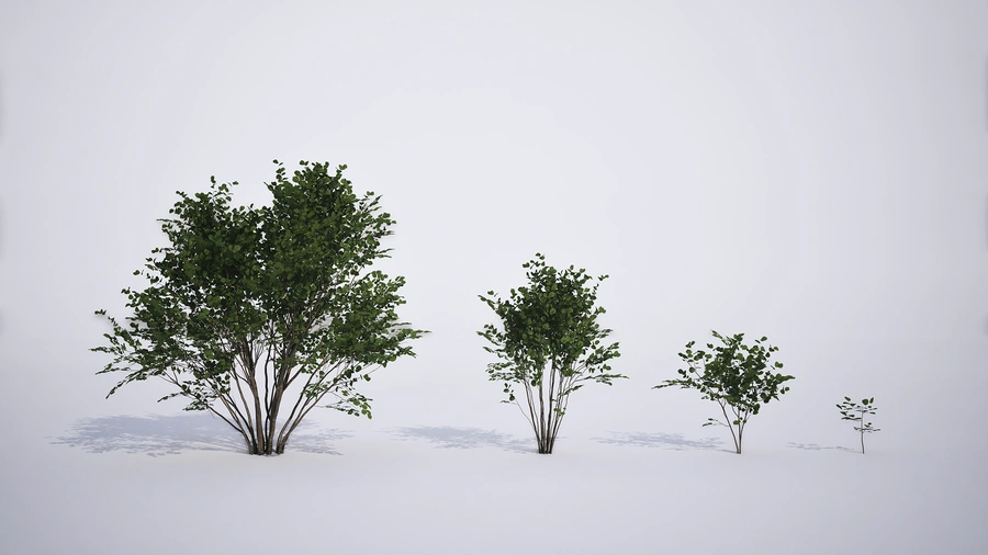 Advanced open world creation