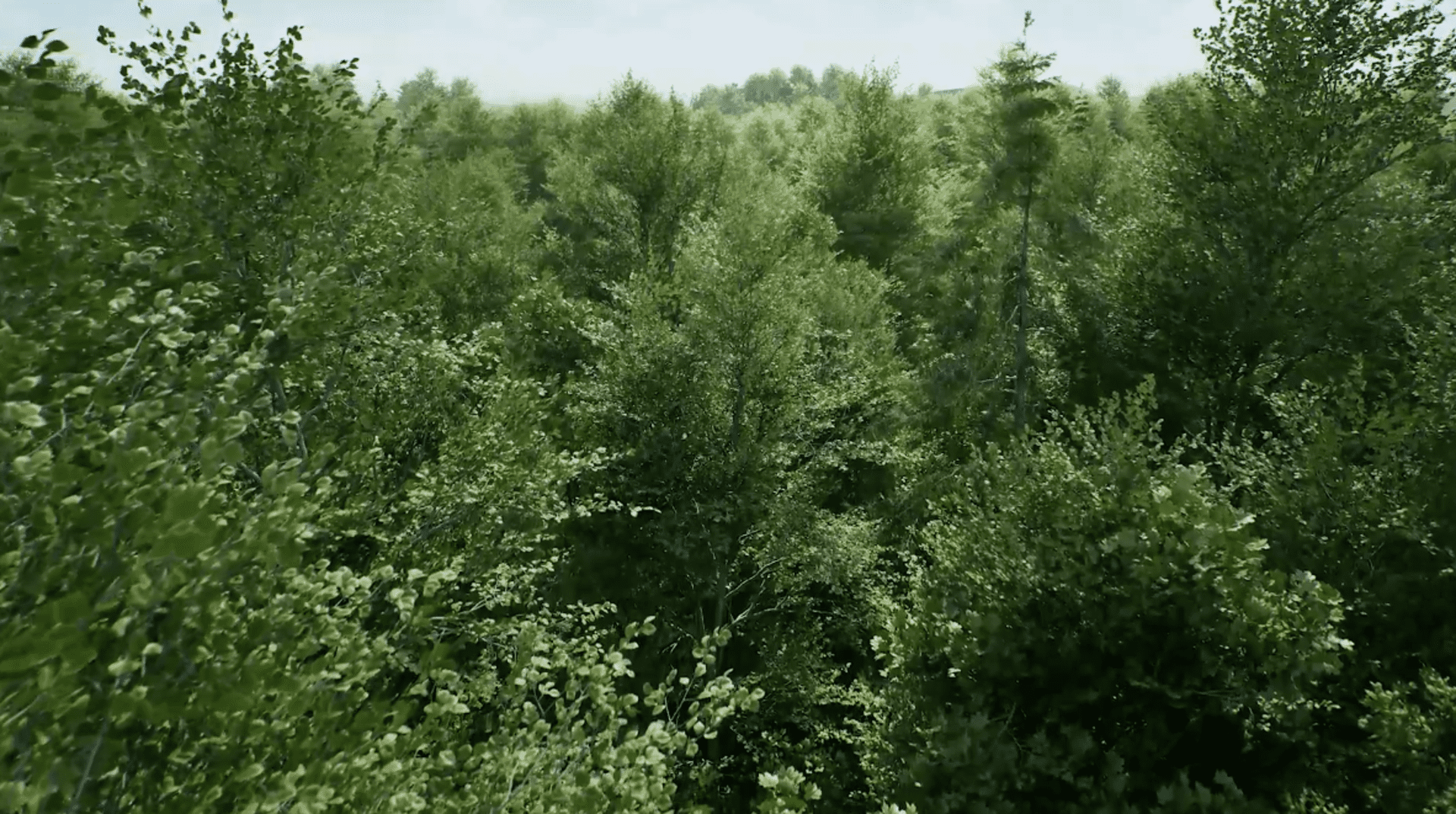 Advanced open world creation