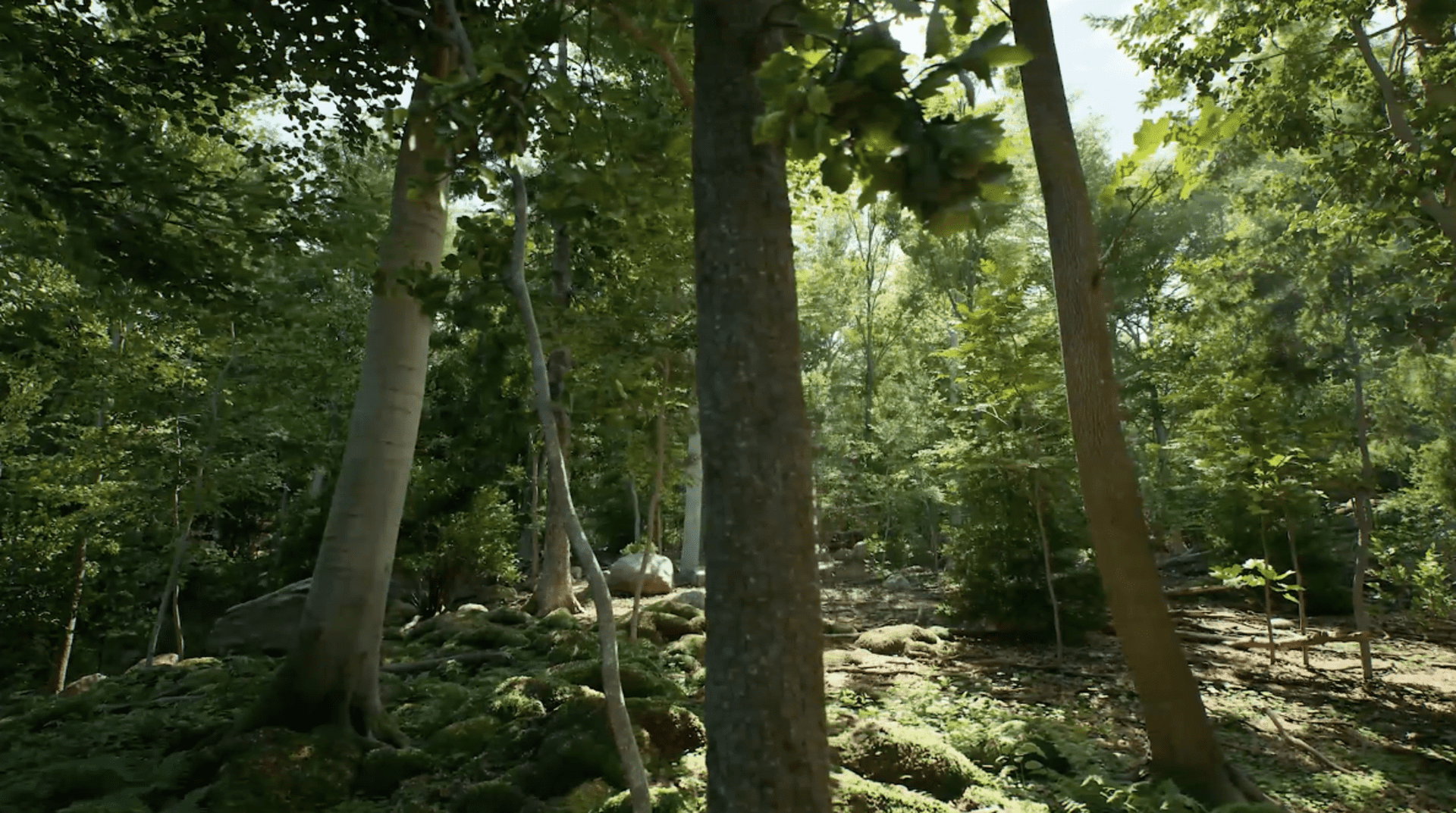 Advanced open world creation