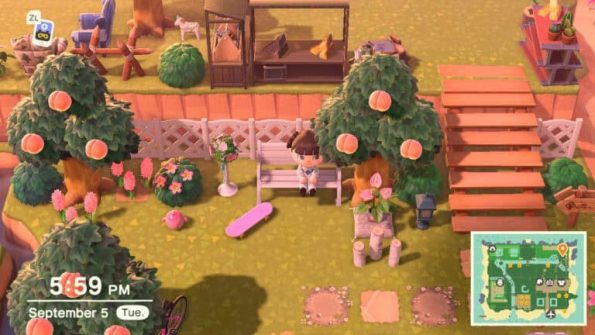 Animal Crossing: New Horizons