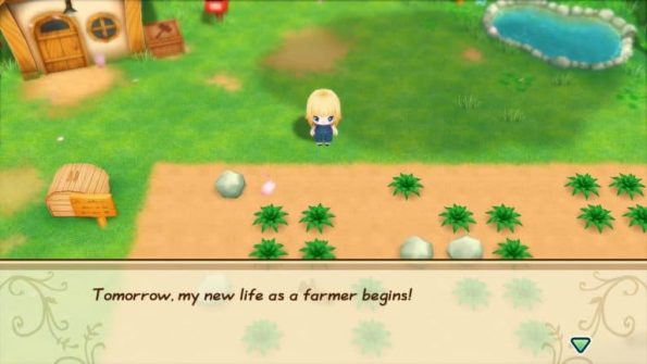 Story of Seasons Friends of Mineral Town معرفی بهترین بازیهای دنج (Cozy Games) 