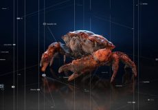 انتشار نسخه Redshift 2026.7 بهبود عملکرد در رندرینگ GPU و قابلیت‌های جدید Hex Tiling