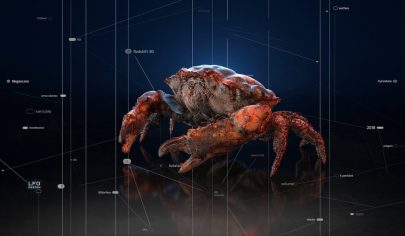 انتشار نسخه Redshift 2026.7 بهبود عملکرد در رندرینگ GPU و قابلیت‌های جدید Hex Tiling