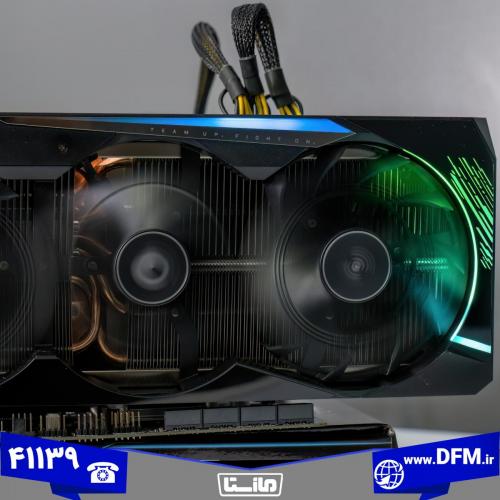 template-DFM-0310